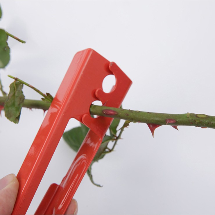 Iron Flower Horticulture Rose Thorn Tool Rose Pliers